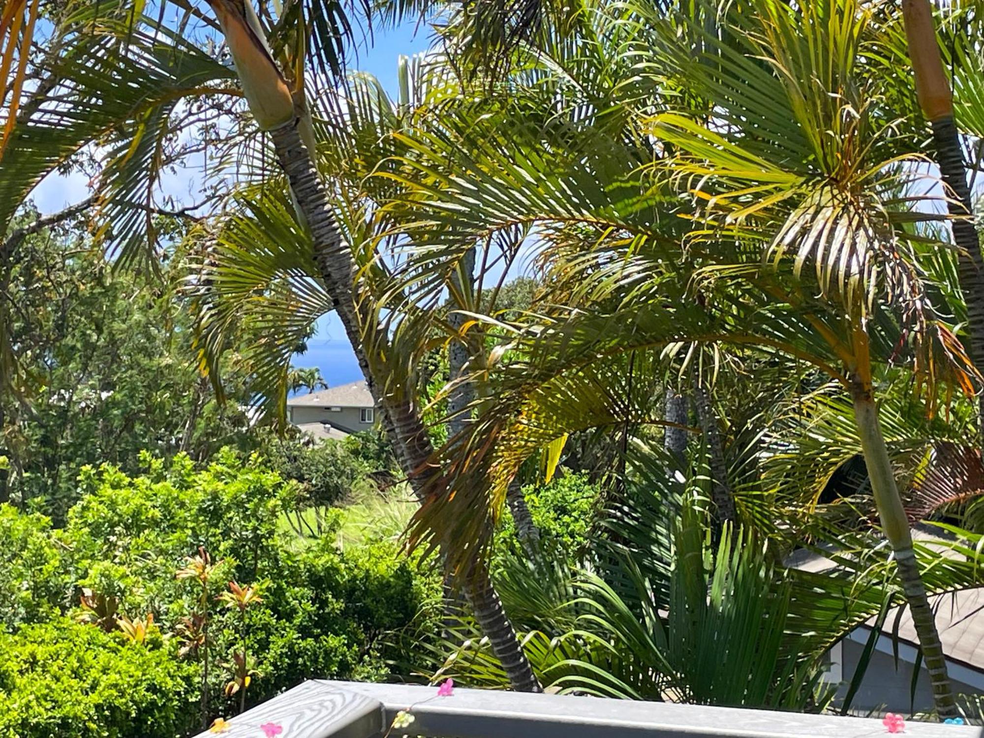 Puu Koa Palms Vacation Rental Haiku Exterior photo